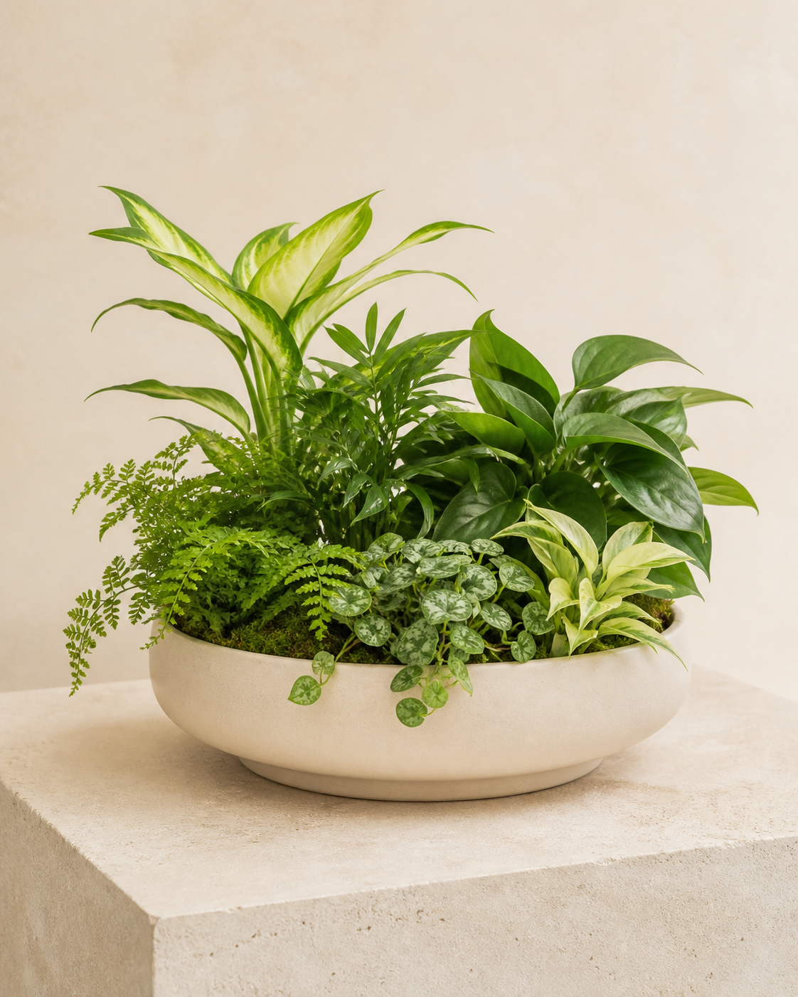 Dish Garden by Fairway Florist