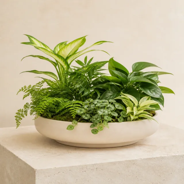 Dish Garden by Fairway Florist